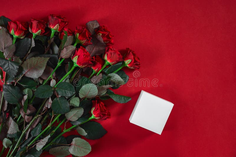 Top view fresh red rose flower and gift box on red deck with empty space for design. For love or valentine day concept. Top view. Copy space. Still life. Flat lay. Top view fresh red rose flower and gift box on red deck with empty space for design. For love or valentine day concept. Top view. Copy space. Still life. Flat lay