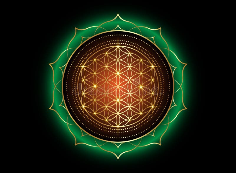 Fiore Della Vita Significato Esoterico Fiore Della Vita Yantra Mandala Nella Geometria Sacra Del Fiore Di Loto