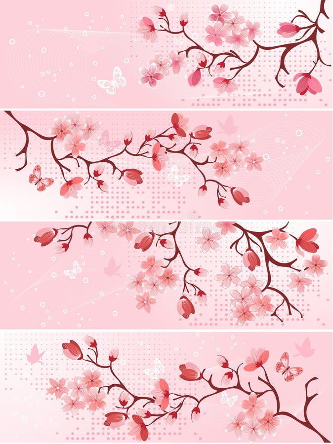 Fiore di ciliegia, bandiera. illustrazione vettoriale Fiore di ciliegia, bandiera. illustrazione vettoriale