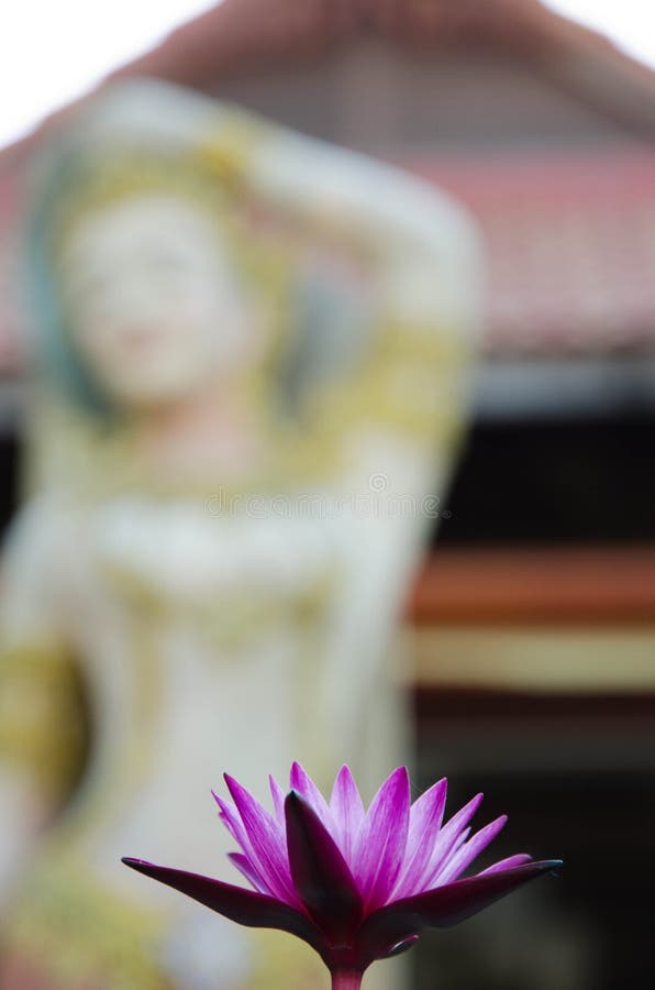 Loto blossom with a  tipical statue on the background