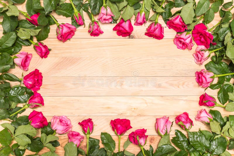 Top view fresh pink rose flower on wooden deck. For love or valentine day concept. Top view fresh pink rose flower on wooden deck. For love or valentine day concept