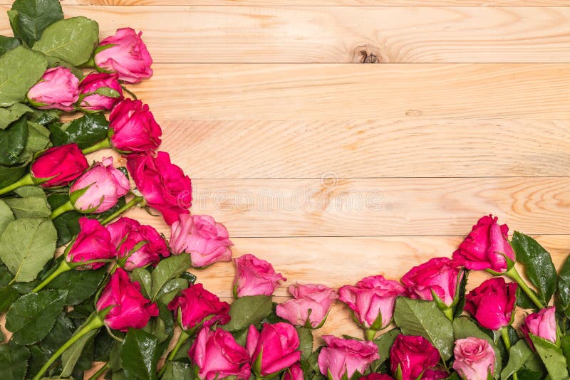 Top view fresh pink rose flower on wooden deck. For love or valentine day concept. Top view fresh pink rose flower on wooden deck. For love or valentine day concept