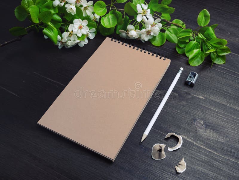 Fiori affilati di penna per notebook fotografia stock