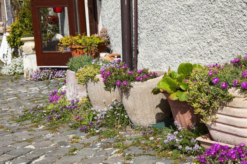 Fiori autunnali affascinanti in vasi di ceramica fotografia stock