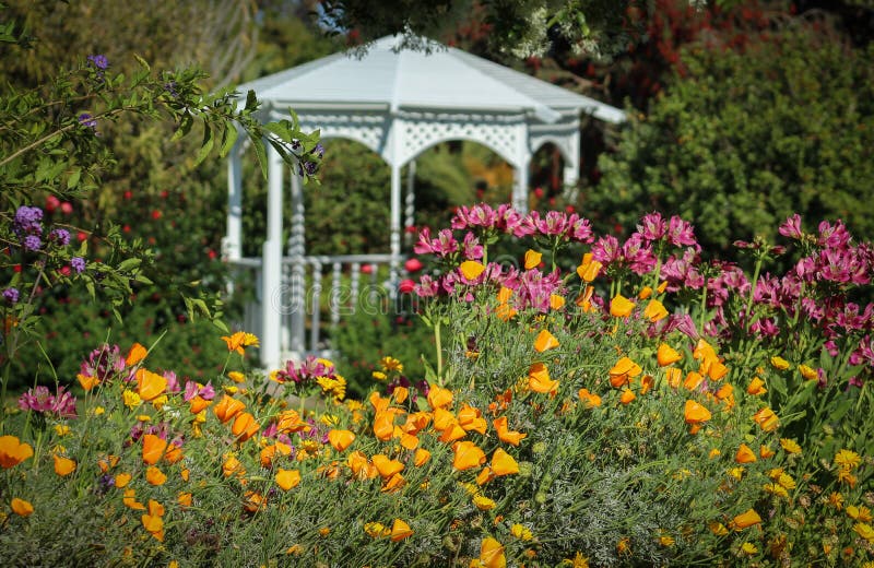 Fiori che fioriscono al giardino botanico della costa sud, Palos Verdes Peninsula, la contea di Los Angeles, California fotografie stock libere da diritti Fiori che fioriscono al giardino botanico della costa sud, Palos Verdes Peninsula, la contea di Los Angeles, California fotografie stock libere da diritti