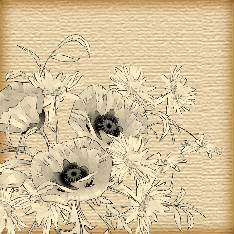 Fiori d'annata del disegno della mano di vettore royalty illustrazione gratis Fiori d'annata del disegno della mano di vettore royalty illustrazione gratis