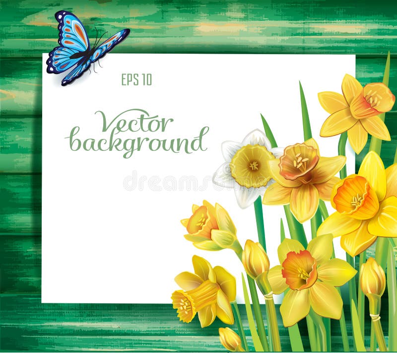 Fiori dei narcisi sui precedenti di legno royalty illustrazione gratis Fiori dei narcisi sui precedenti di legno royalty illustrazione gratis