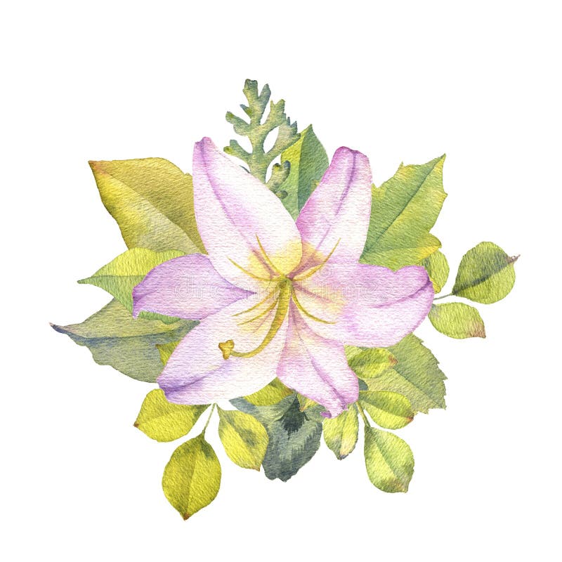 Fiori Del Disegno Dell Acquerello Illustrazione Di Stock Illustrazione Di Fioritura Dissipato