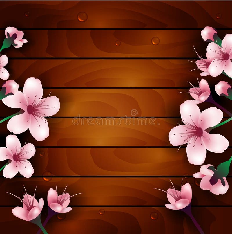 Fiori del fiore di ciliegia su fondo di legno royalty illustrazione gratis Fiori del fiore di ciliegia su fondo di legno royalty illustrazione gratis
