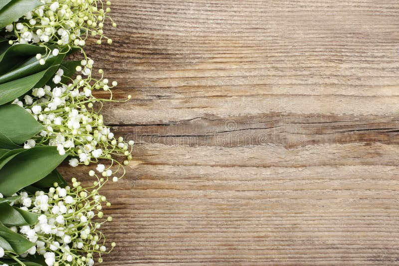 Fiori del mughetto su fondo di legno fotografia stock Fiori del mughetto su fondo di legno fotografia stock