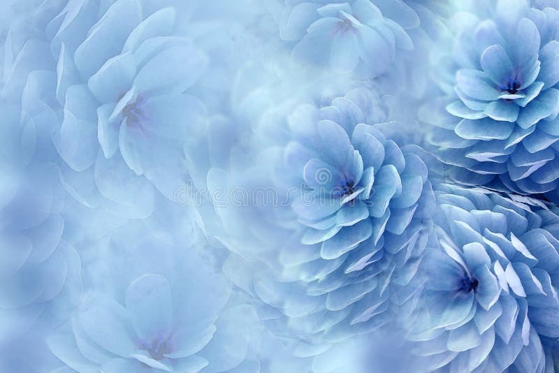 Fiori dell'acquerello su fondo blu confuso crisantemo bianco Blu dei fiori collage floreale Composizione nel fiore immagine stock Fiori dell'acquerello su fondo blu confuso crisantemo bianco Blu dei fiori collage floreale Composizione nel fiore immagine stock