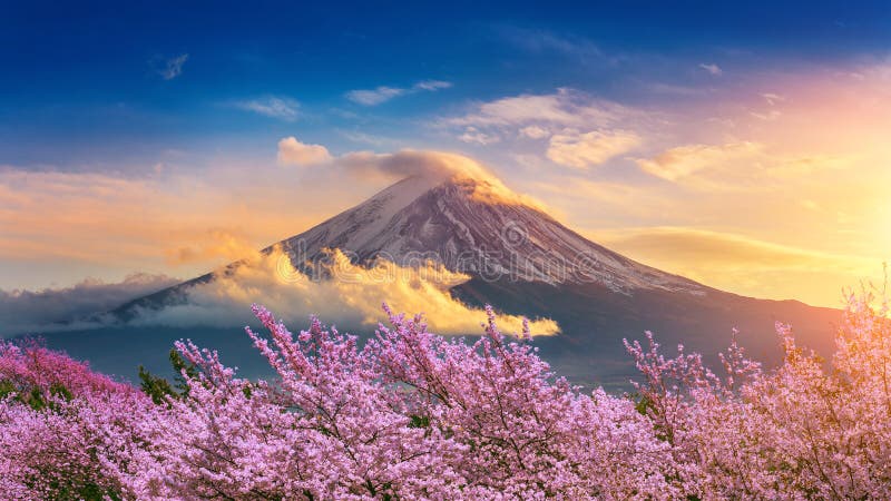 Fuji mountain and cherry blossoms in spring, Japan. Fuji mountain and cherry blossoms in spring, Japan.