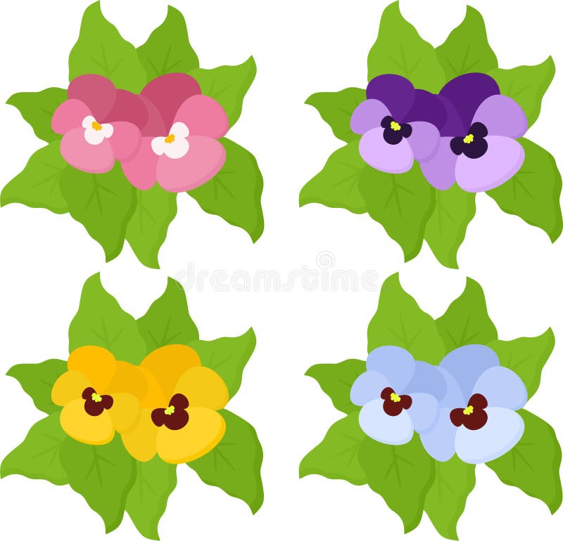 Fiori della pansé o raccolta tricolore della viola del giardino della molla isolata su fondo bianco Vista superiore illustrazione di stock Fiori della pansé o raccolta tricolore della viola del giardino della molla isolata su fondo bianco Vista superiore illustrazione di stock