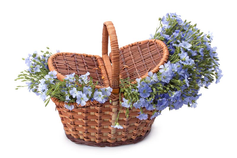 Fiori della primavera in un canestro immagini stock Fiori della primavera in un canestro immagini stock