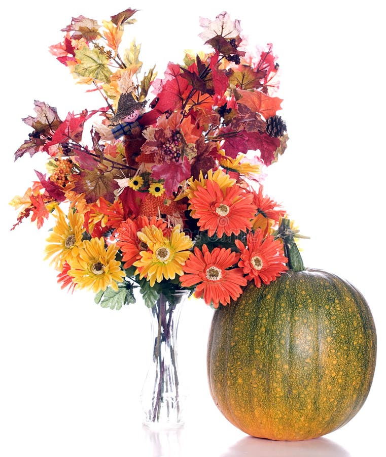 Fiori di autunno immagini stock Fiori di autunno immagini stock