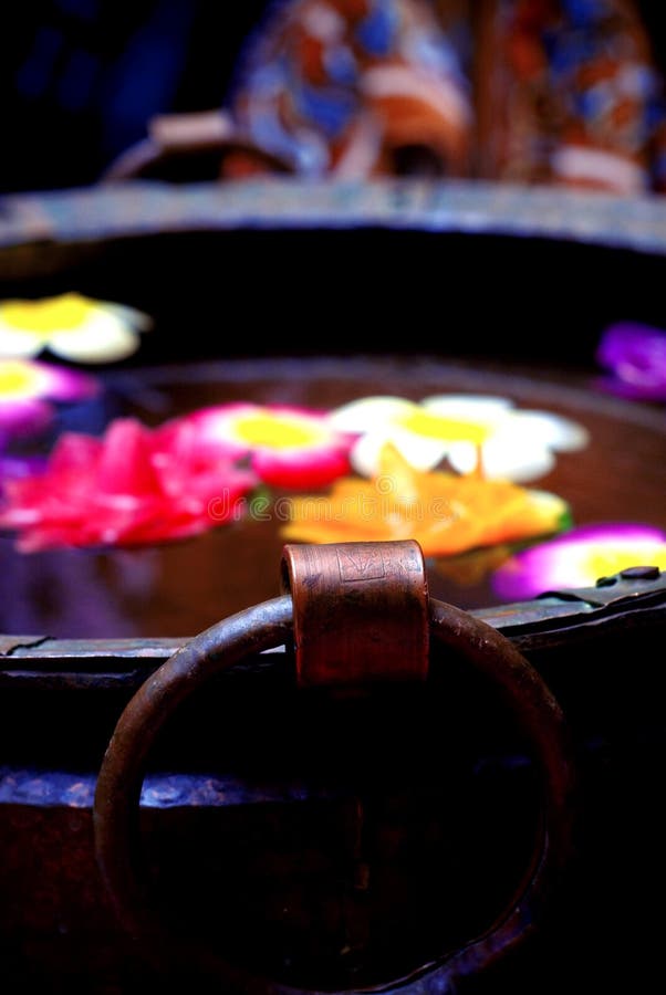 KOIROI 6 Pz Fiori Galleggianti Per Laghetti, Finte Galleggianti Diametro, Artificiale Ninfee Galleggianti, Ninfee Artificiali Impermeabile Galleggiante Stagno Decorazione Per Giardino Laghetto