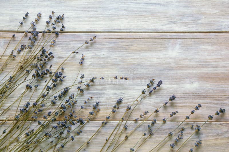 Fiori di lavanda secchi su fondo rustico di legno. spazio di copia. spazio libero per il testo.
