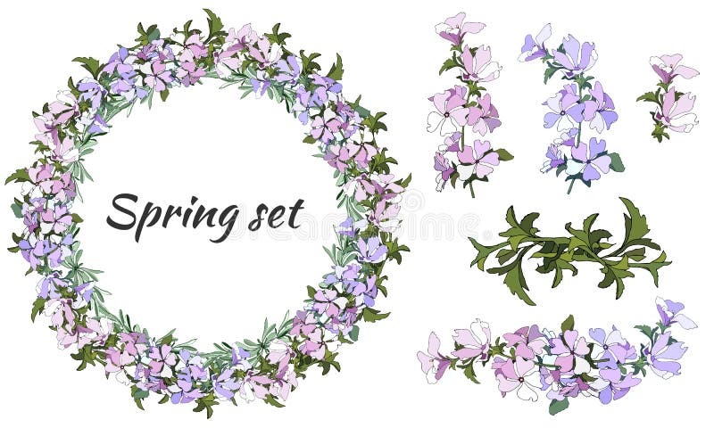 Fiori di silvestris di Malva su fondo bianco Corona floreale di delicati fiori viola e rosa per decorare le carte