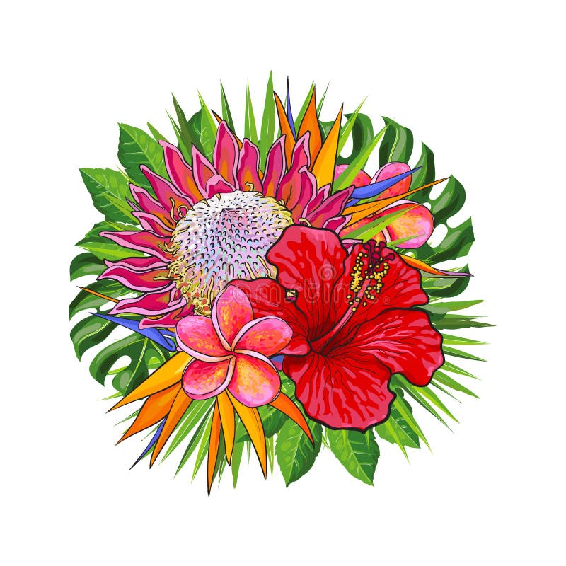 Fiori e foglie verdi tropicali in composizione floreale decorativa nella forma di cerchio royalty illustrazione gratis Fiori e foglie verdi tropicali in composizione floreale decorativa nella forma di cerchio royalty illustrazione gratis