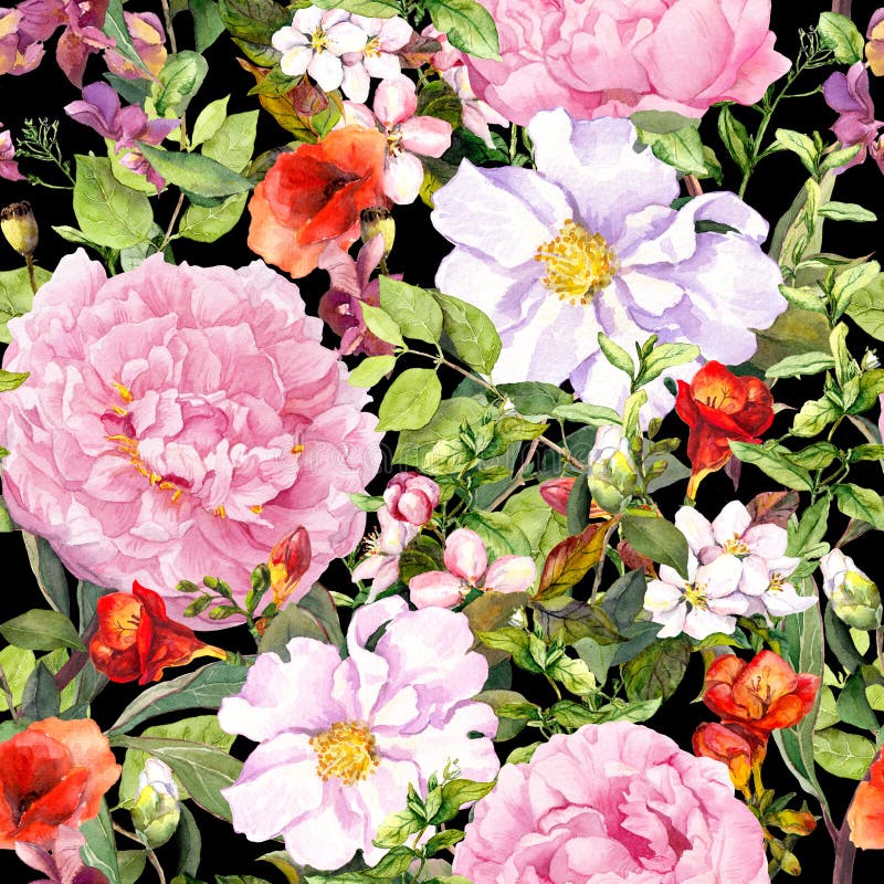 Fiori, foglie, fienarola dei prati al fondo del nero di contrasto Reticolo floreale senza giunte watercolor illustrazione vettoriale Fiori, foglie, fienarola dei prati al fondo del nero di contrasto Reticolo floreale senza giunte watercolor illustrazione vettoriale