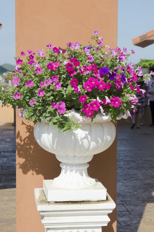 Bandiera Stagionale Colorata Bandiera Da Giardino Con Colibr&igrave;