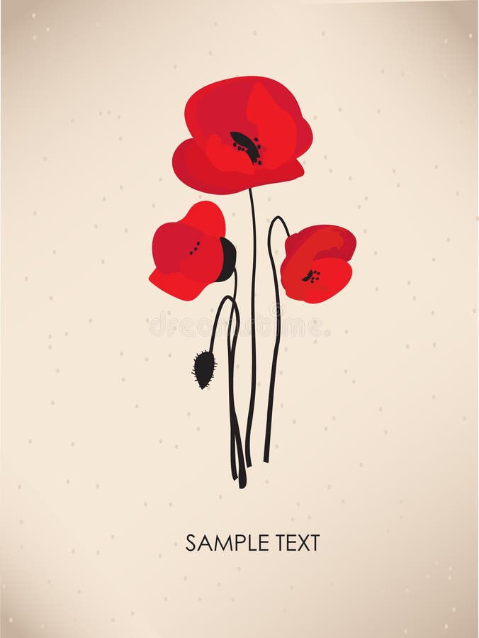 Fiori multicolori del papavero. royalty illustrazione gratis Fiori multicolori del papavero. royalty illustrazione gratis