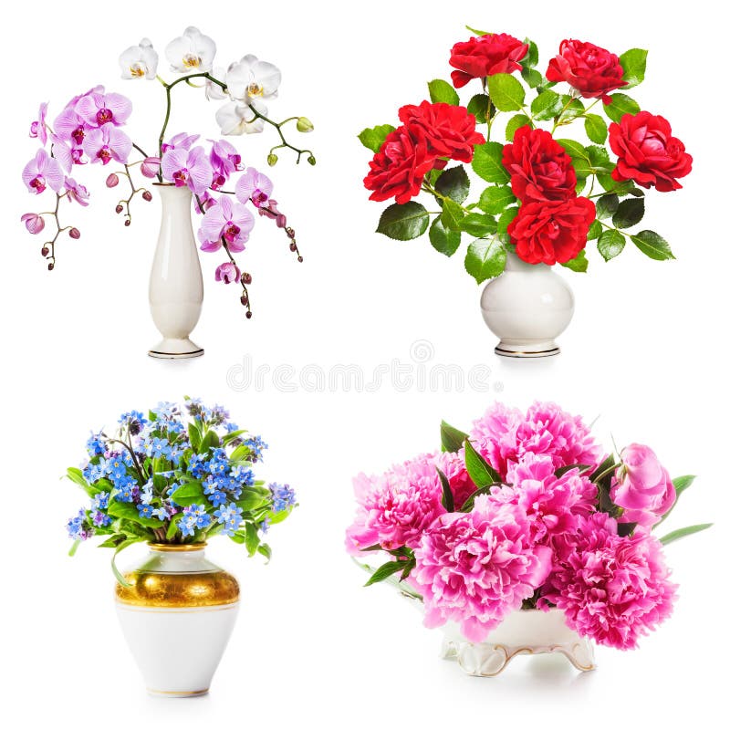 Fiori romantici in vaso immagini stock Fiori romantici in vaso immagini stock