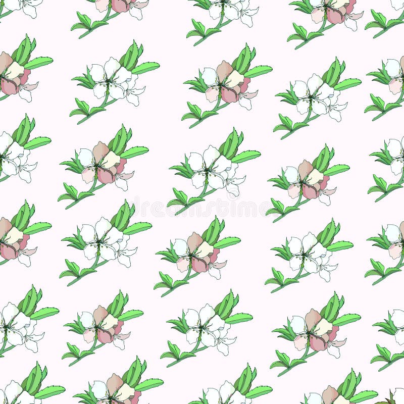 Fiori rosa su un fondo leggero Primavera/fondo floreale di estate Modello senza cuciture del modello Disegnato a mano Per la cart royalty illustrazione gratis Fiori rosa su un fondo leggero Primavera/fondo floreale di estate Modello senza cuciture del modello Disegnato a mano Per la cart royalty illustrazione gratis