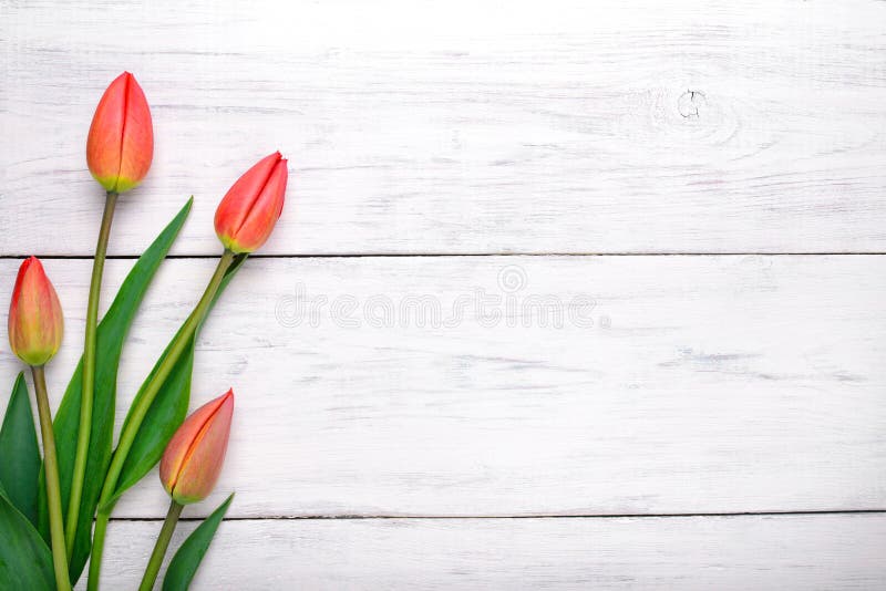 Fiori rossi dei tulipani sulla tavola di legno Vista superiore, spazio della copia fotografia stock libera da diritti Fiori rossi dei tulipani sulla tavola di legno Vista superiore, spazio della copia fotografia stock libera da diritti