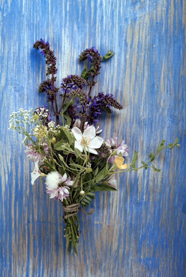 Wild flowers on blue wooden deck background chamomile lupine dandelions thyme mint bells rape. Wild flowers on blue wooden deck background chamomile lupine dandelions thyme mint bells rape.