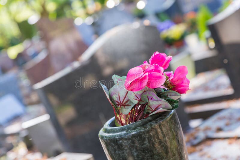 Fiori in un cimitero con le pietre tombali nel fondo immagini stock libere da diritti Fiori in un cimitero con le pietre tombali nel fondo immagini stock libere da diritti