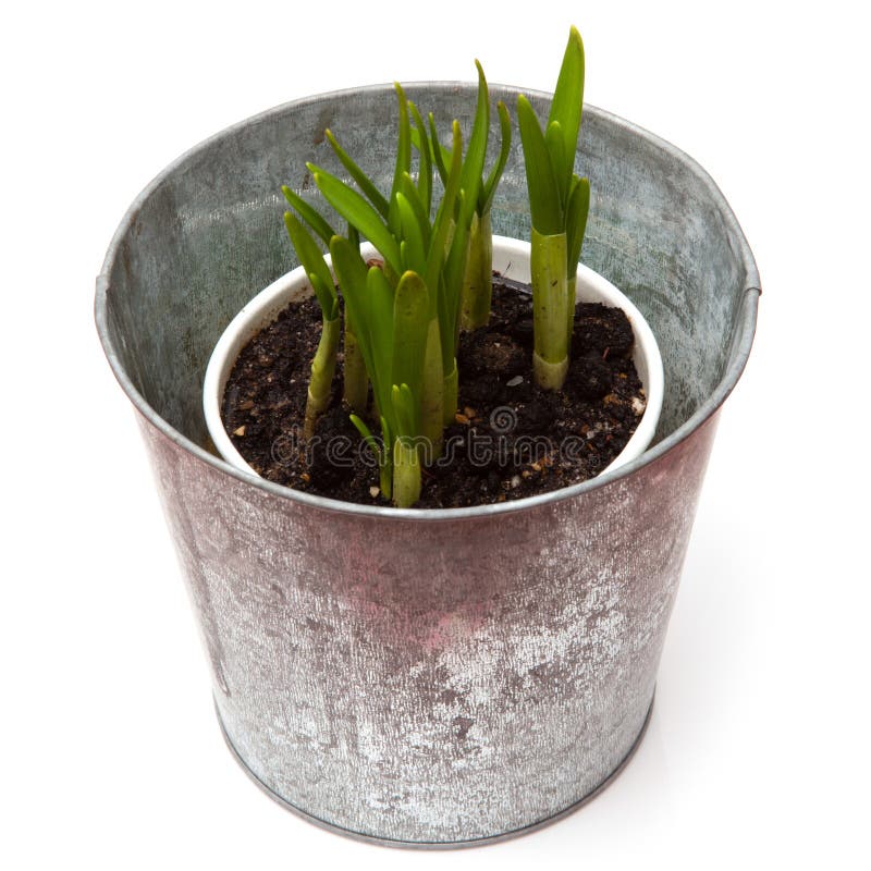 Vasi Neri Con Drenaggio Rotondi In Plastica Riciclata - Idroponica E Giardinaggio, 1L/5L/10L/20L Vasi Per Piante - Foto 9