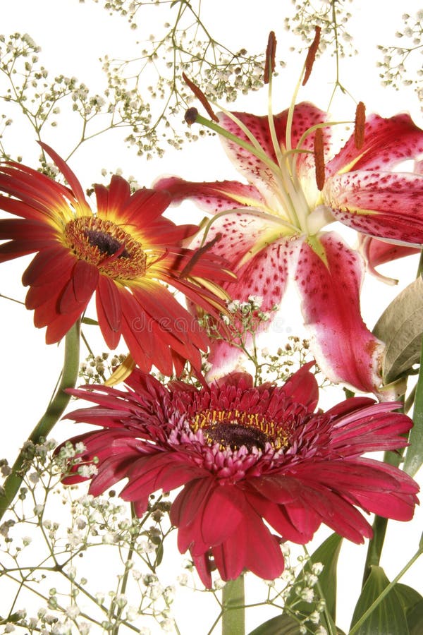 Fiorisce il mazzo immagini stock