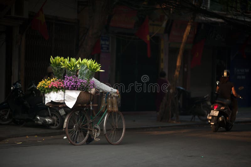 Fiorisce il venditore ambulante alla città di Hanoi, Vietnam immagine stock Fiorisce il venditore ambulante alla città di Hanoi, Vietnam immagine stock