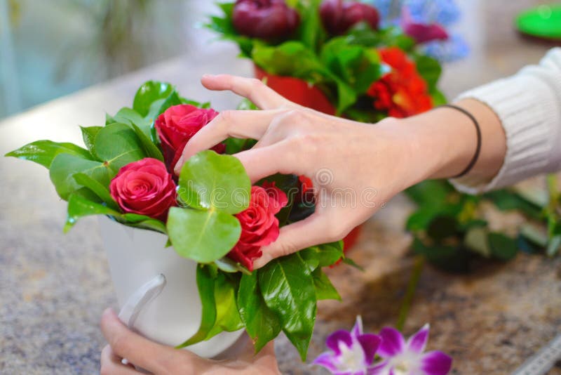 Fiorista sul lavoro nel negozio di fiore immagine stock libera da diritti Fiorista sul lavoro nel negozio di fiore immagine stock libera da diritti