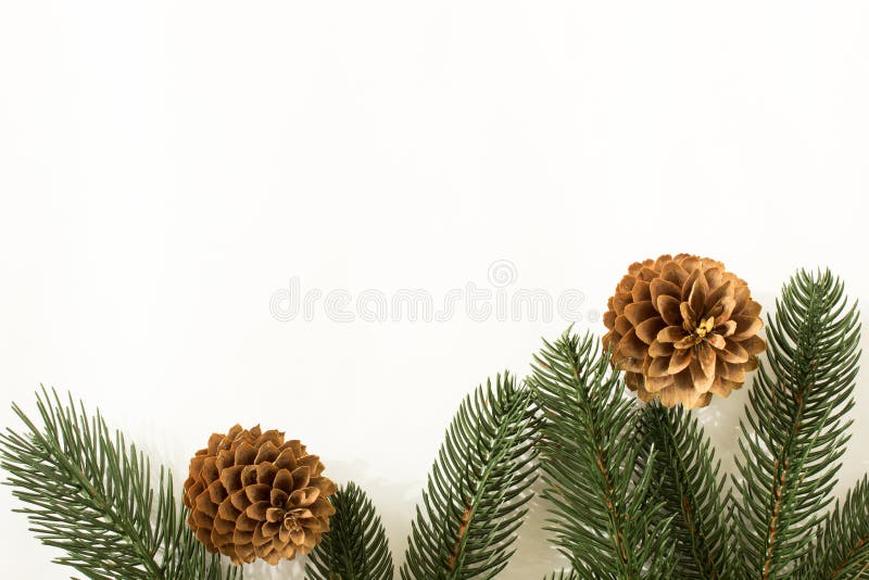 Fir branches with pine cones and gifts in craft paper and scourge on a white background for text for the holiday christmas or new