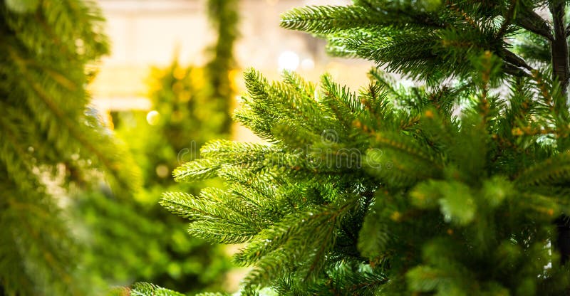 Closeup of Christmas tree branches with snowflakes - a Royalty Free Stock  Photo from Photocase