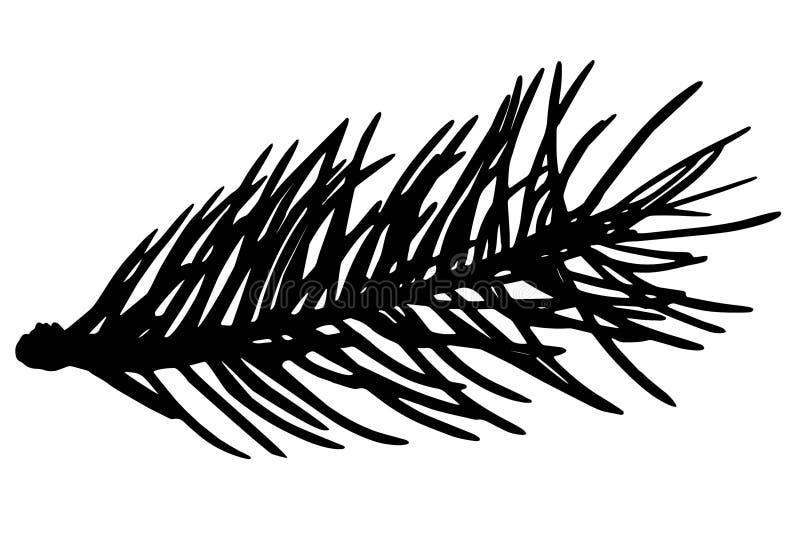 Download Evergreen Branch Silhouette Stock Illustrations - 3,983 ...