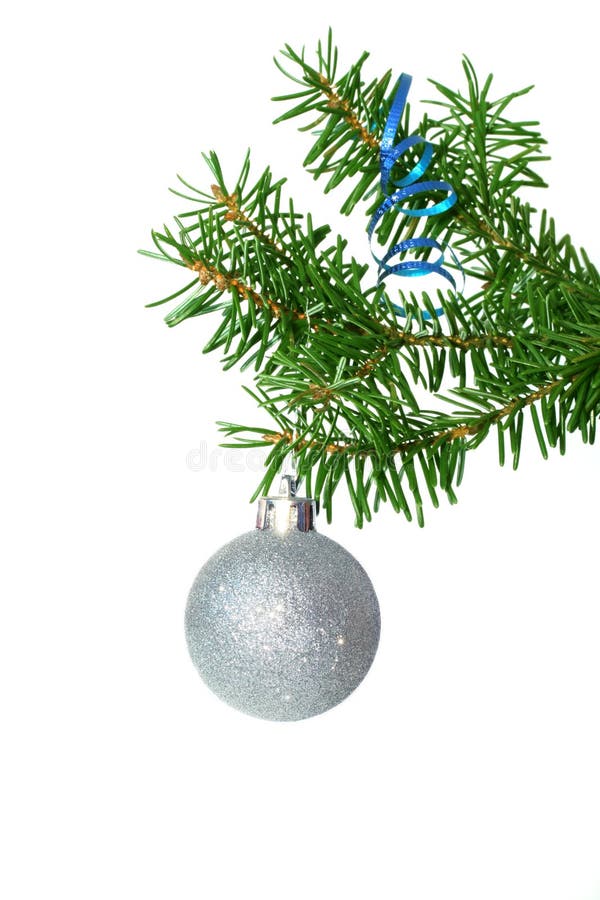 Fir tree branch with silver ball