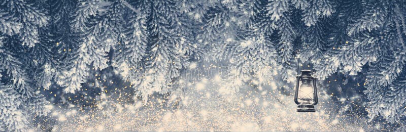 Fir tree covered snow and rime, lantern closeup. Christmas panoramic background with sparkles. Holiday spruce branches panorama