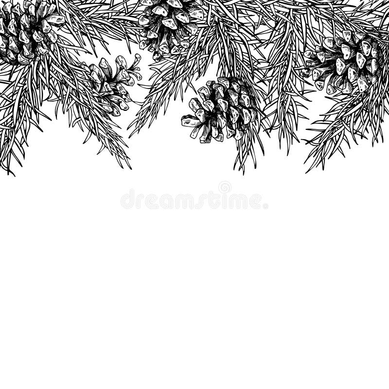 Fir tree and pine cone hand drawn vector square frame for winter