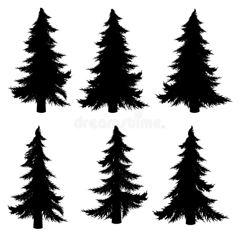 Fir Tree Silhouette