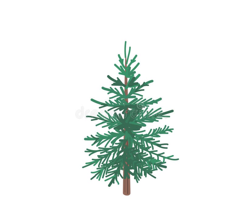 Fir tree with snow texture. Pine xmas vector illustration isolated on white background. Simple flat cartoon green spruce