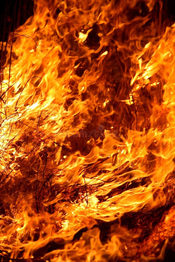 Fire royalty free stock image