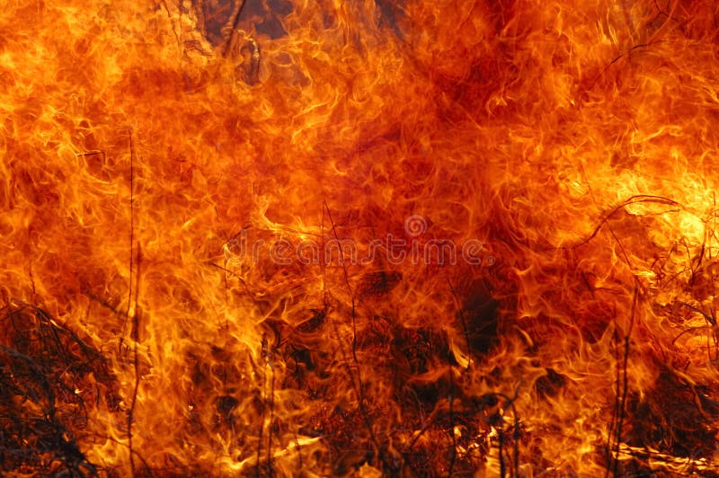 Fire royalty free stock photography