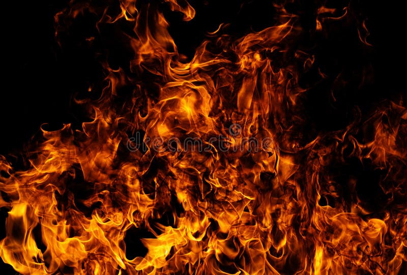 Fire Blaze Flames on Black Background. Fire Burn Flame Isolated
