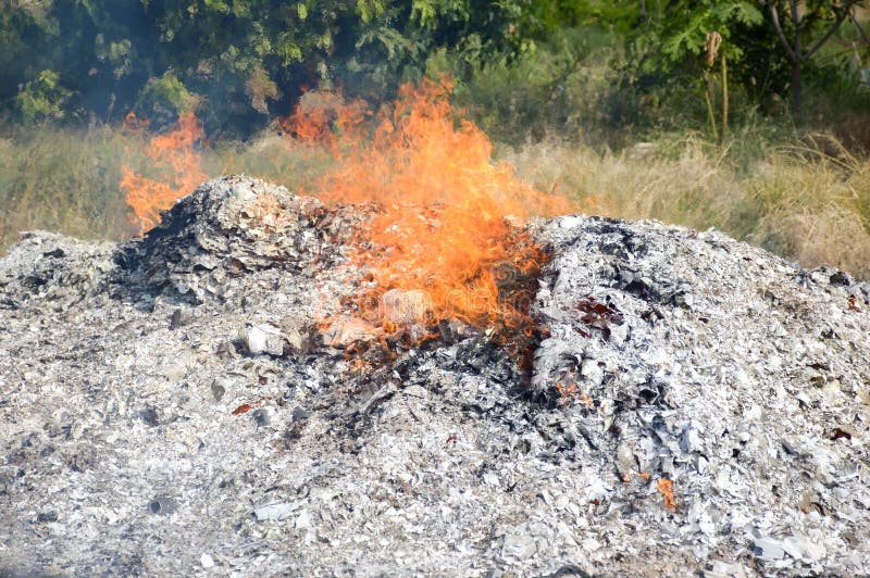 Fire burning ash in garden stock image. Image of smoke 86714205