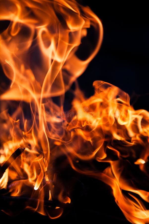 Fire Burning on a Black Background. Red Fiery Flame Stock Image Image