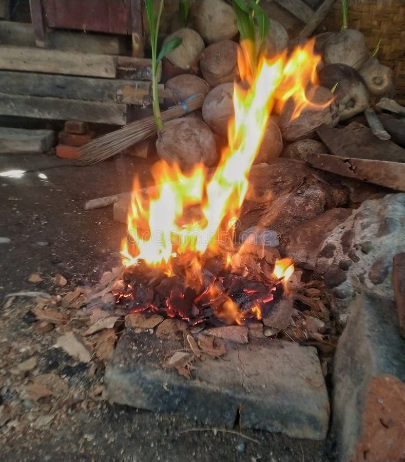 903 Fire Burning Coconut Stock Photos Free & RoyaltyFree Stock
