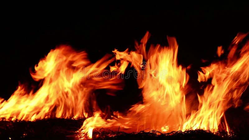 Christmas fireplace video download free Christmas fireplace video download free